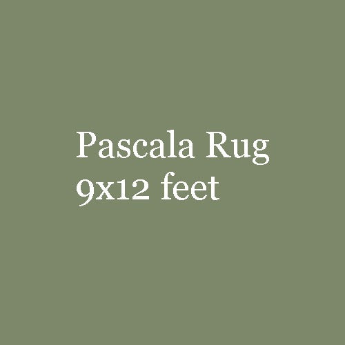 Pascala Rug 9x12 feet
