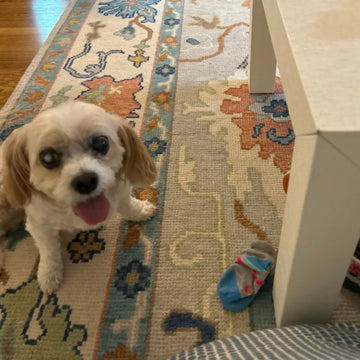 Clara Rugs - sample view 1